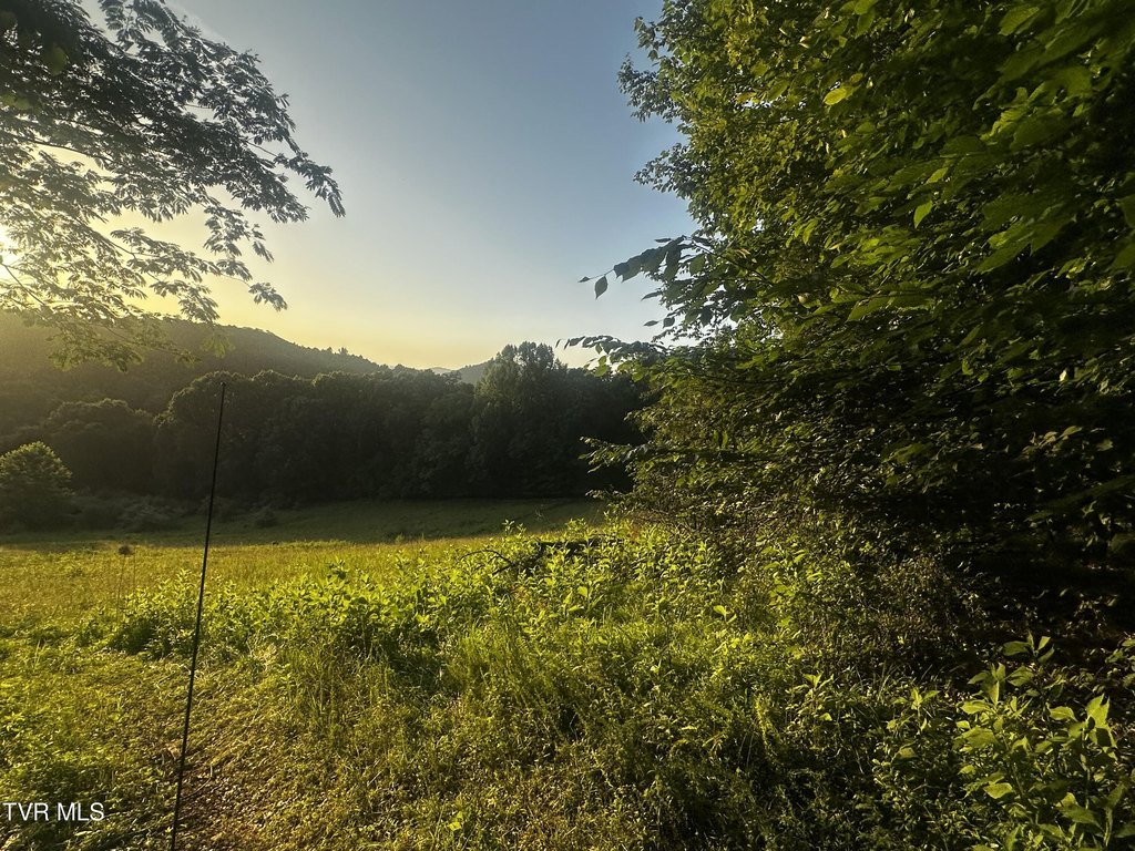 Picture 23