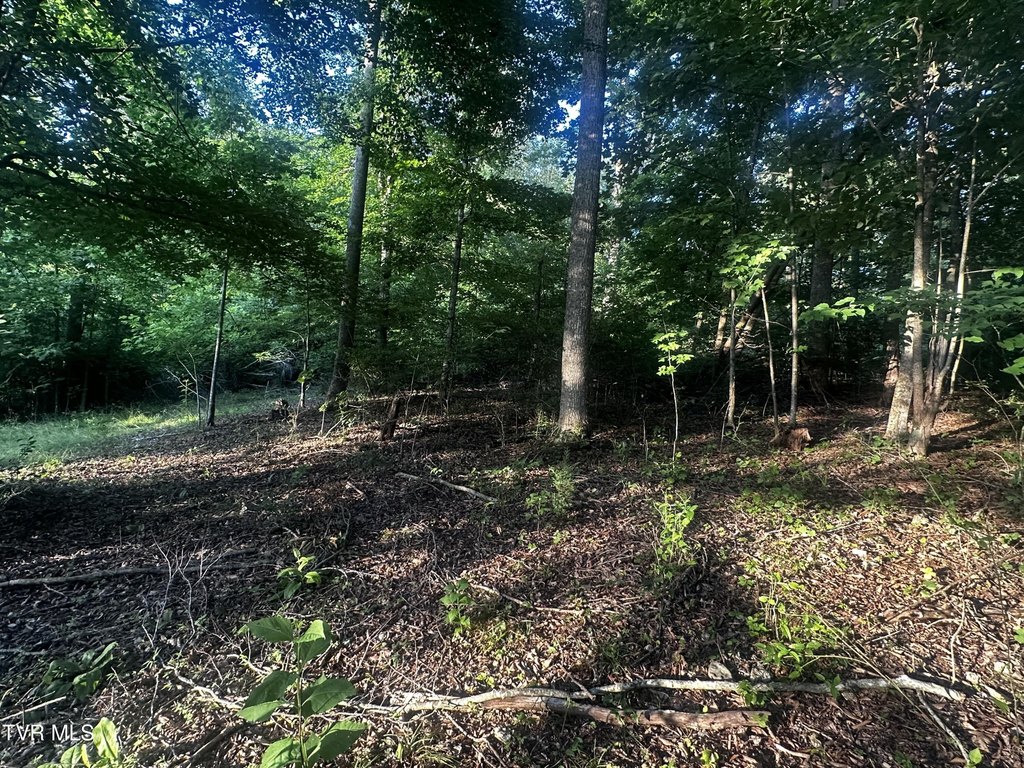 Picture 24
