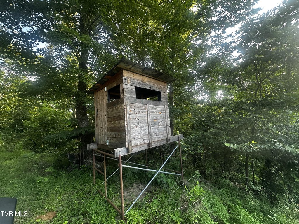 Picture 19