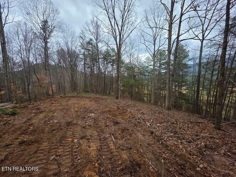 Ready-to-Build Lot Near Ocoee River