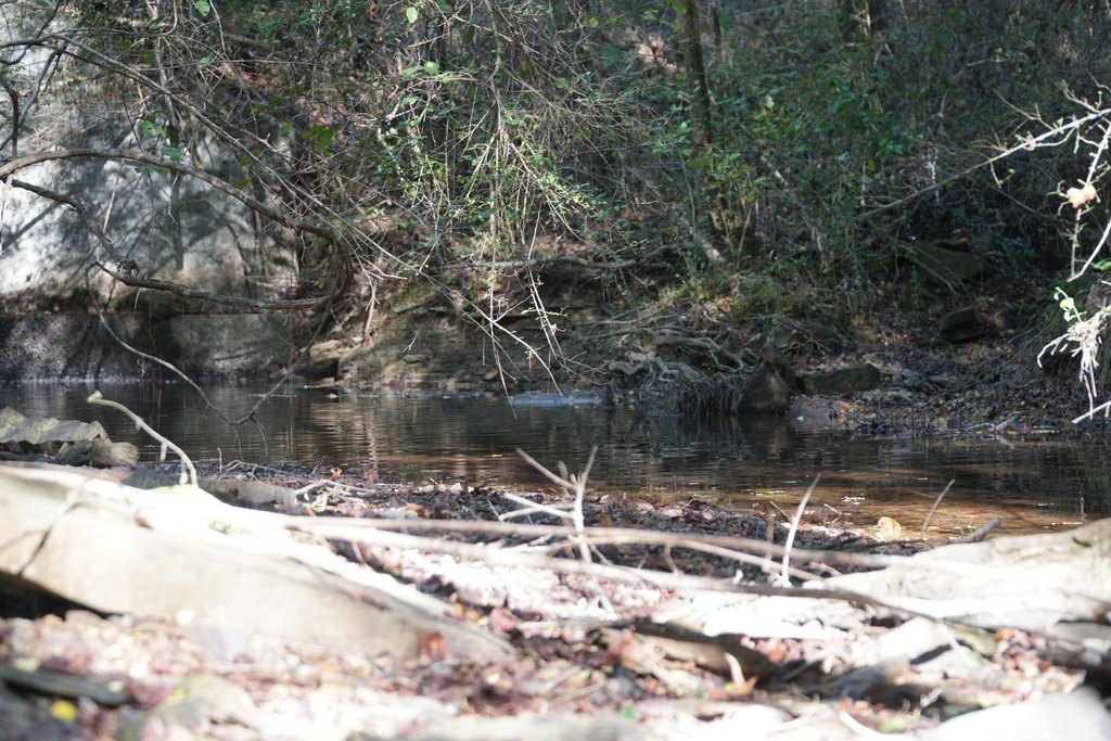 Picture 7