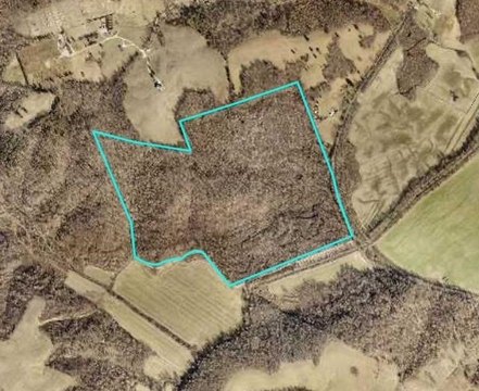 Wooded Land in Olaton, KY