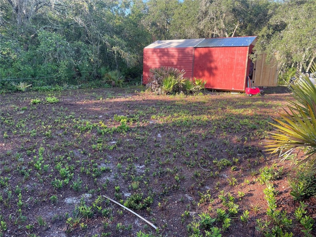 Picture 6