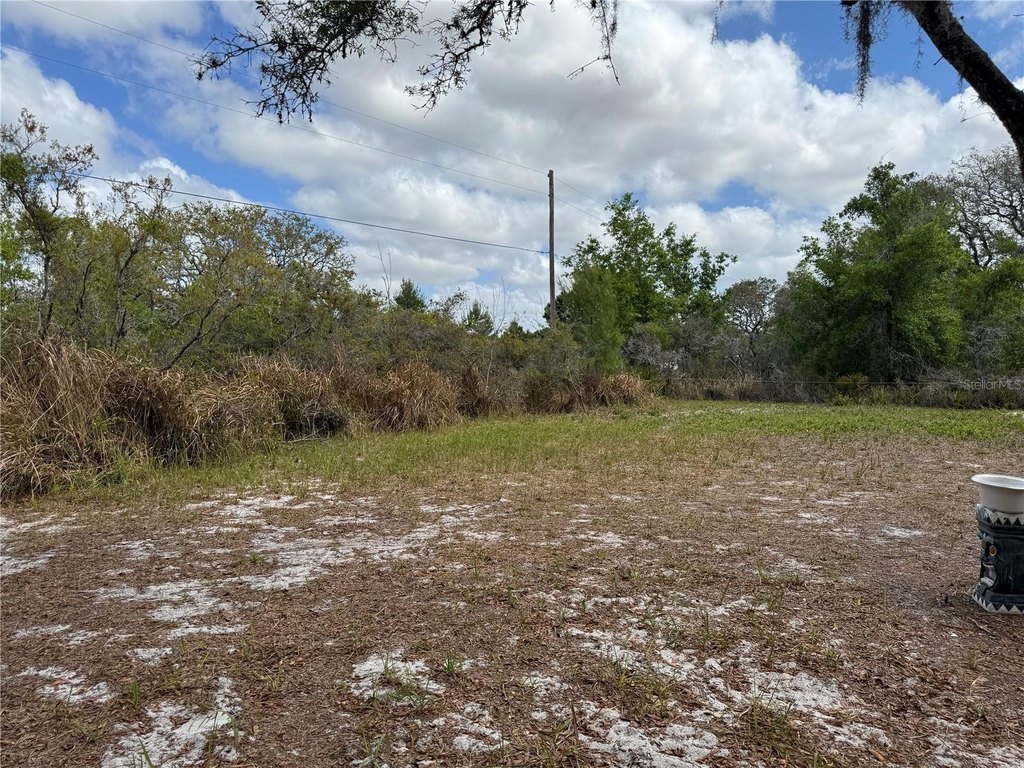 Picture 10