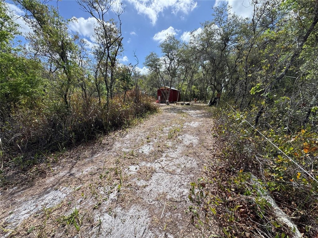 Picture 3