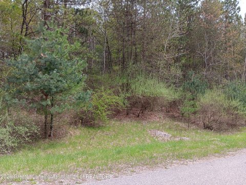 LAND - Owosso, MI