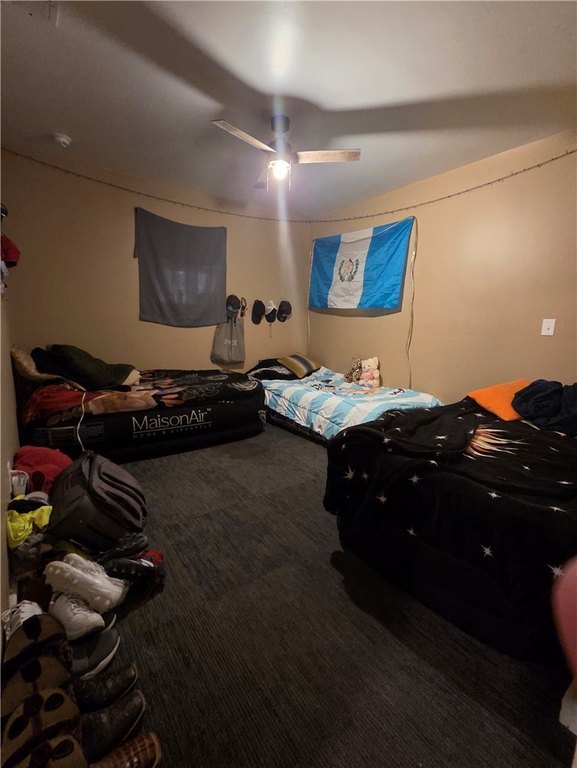 Picture 21