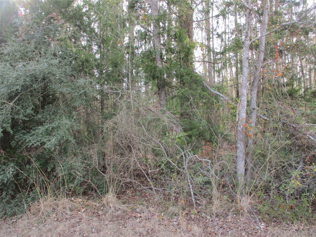 Picture 4