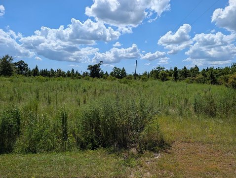 Expansive Coastal Land Opportunity