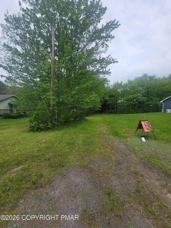 Picture 7