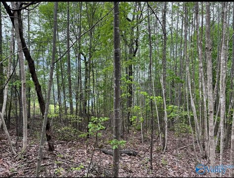 Land, Arley, AL