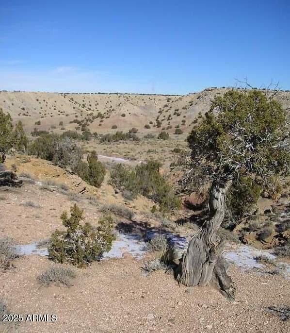 81+ Acres in White Mountains
