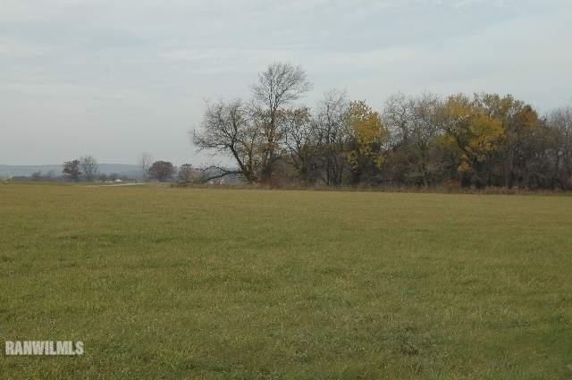 Picture 3