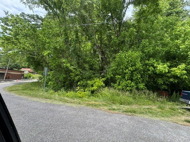 Picture 2