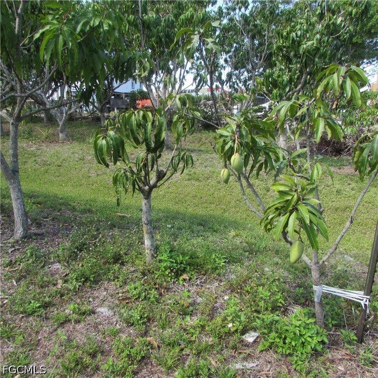 Picture 21