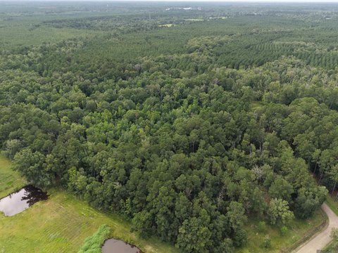 Land, Holden, LA