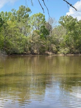 Cleared Waterfront Land with Boat Launch