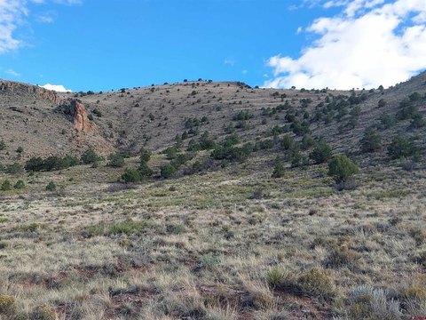 LAND, Del Norte, CO