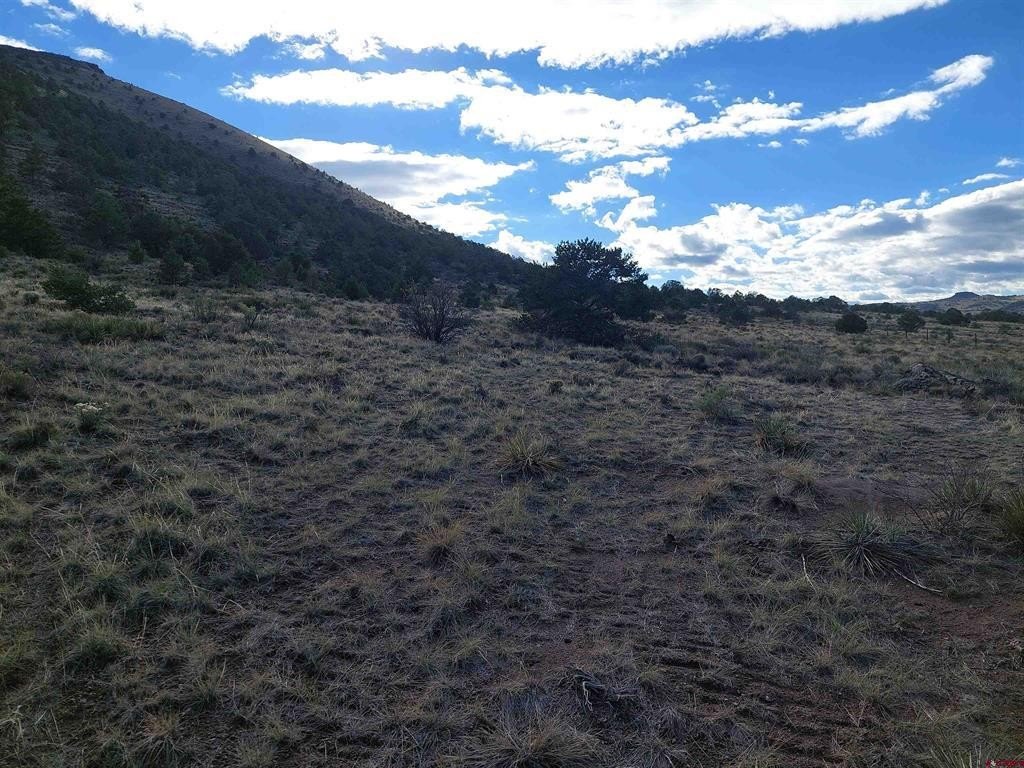 Picture 20