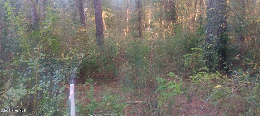 Picture 4