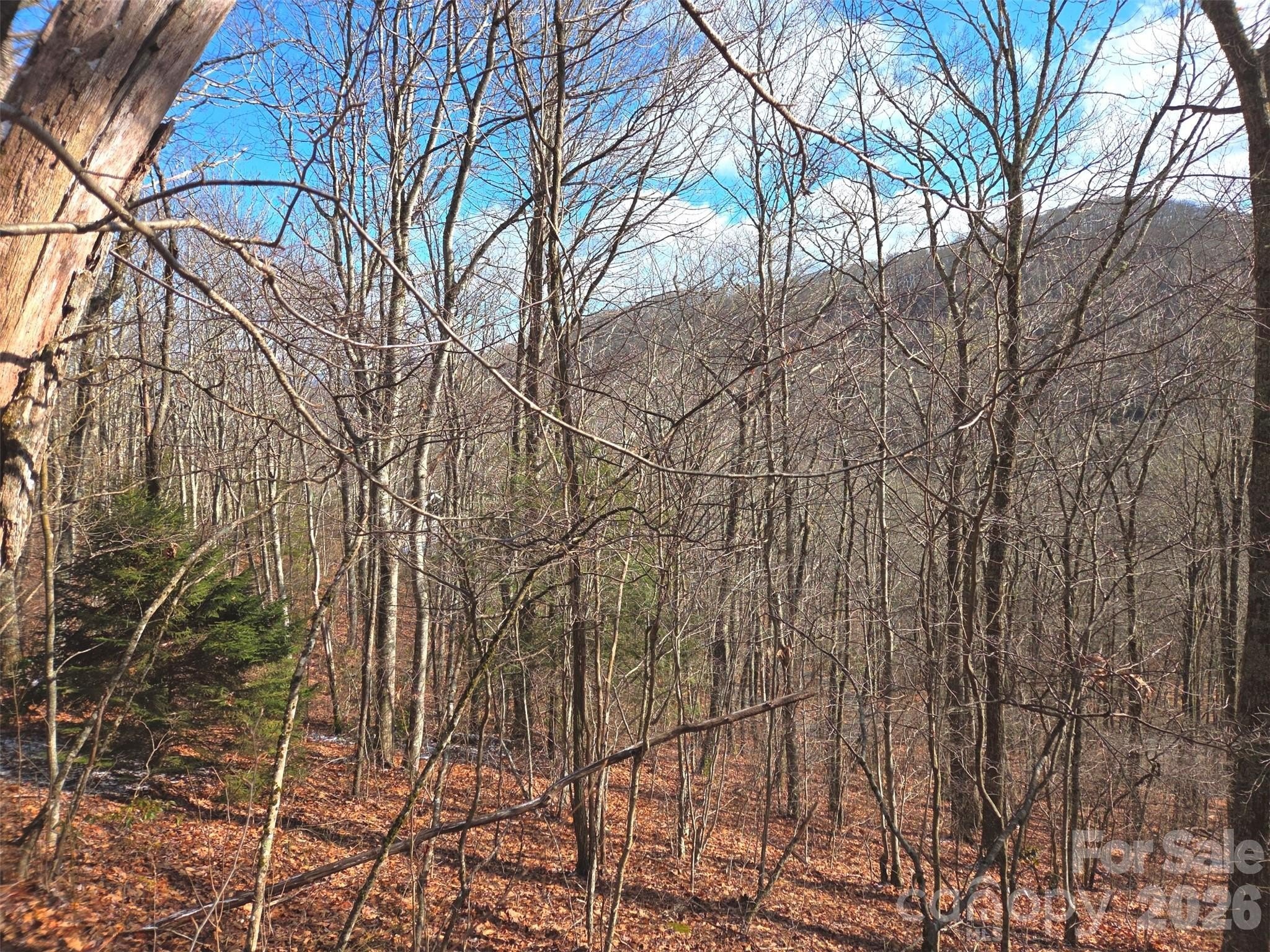 Maggie Valley Land with Views