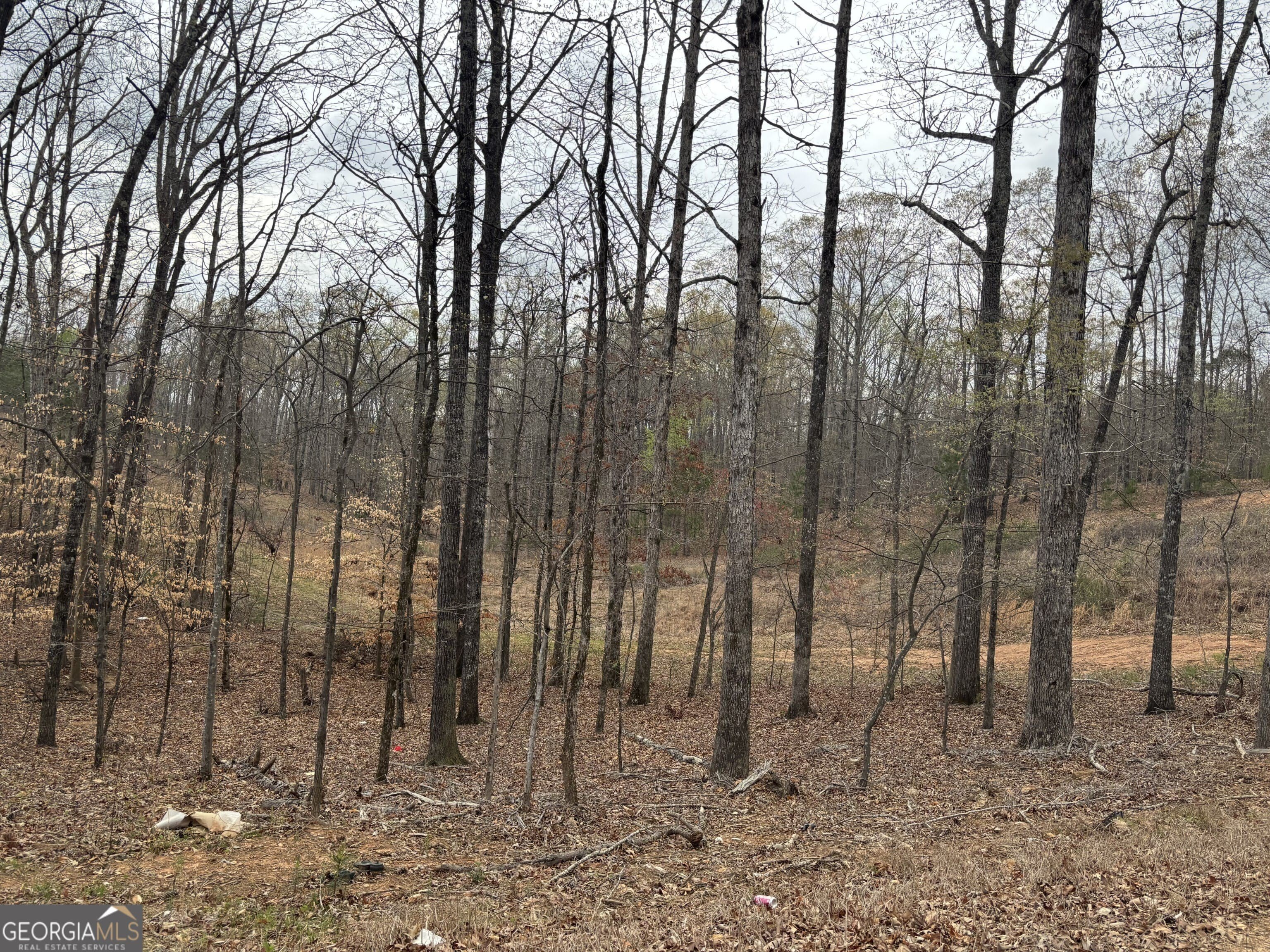 Industrial Lot in Lithia Springs