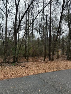 Residential Land in Troy, AL