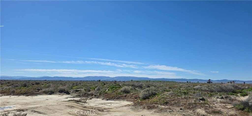 Picture 5