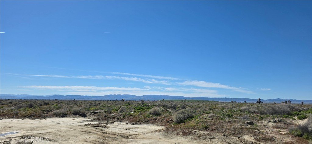 Picture 6