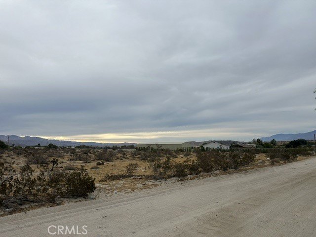 Picture 2