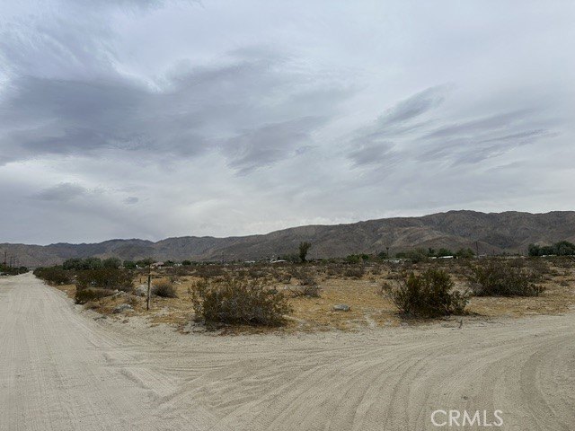 Picture 3