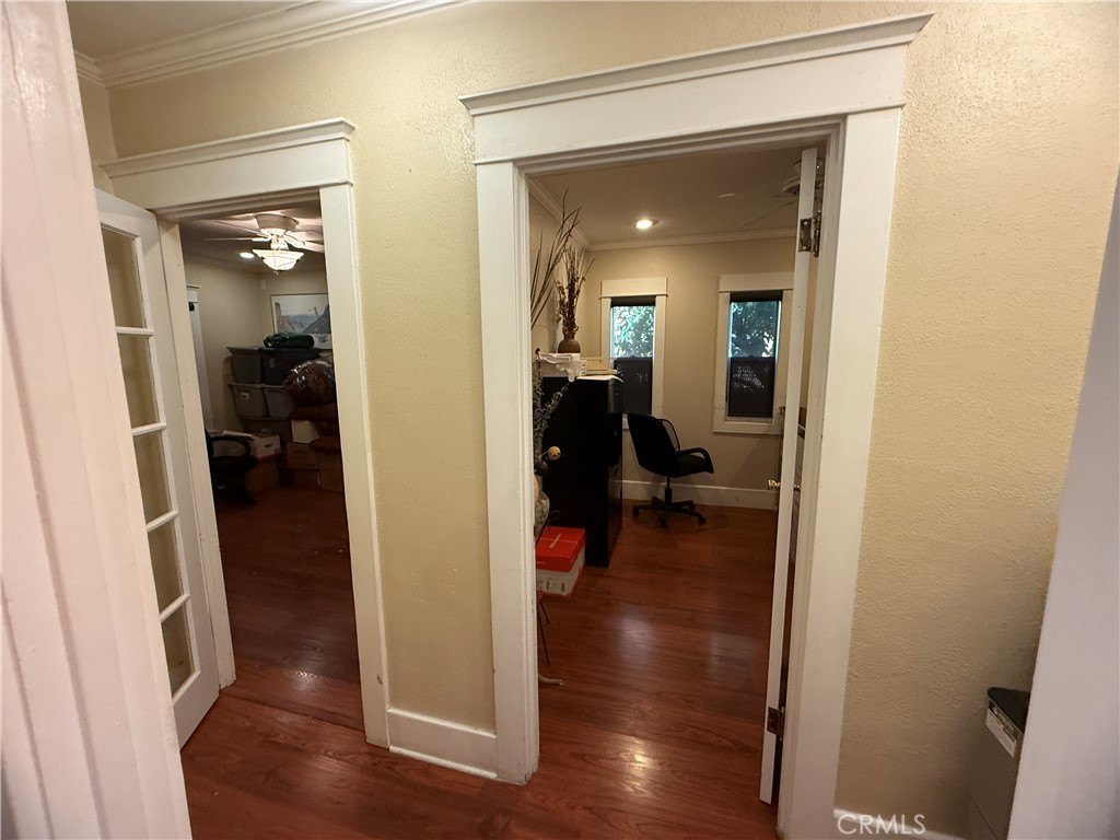 Picture 11