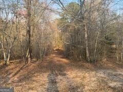 52 Acres of Georgia Land