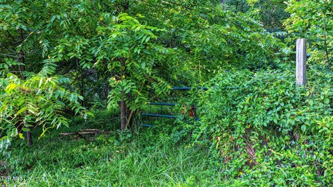 Land, Jonesborough, TN