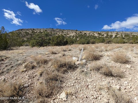 LAND - Seligman, AZ