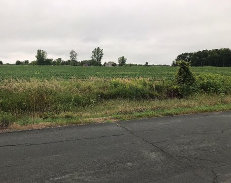 Build-Ready Hobby Farm Land
