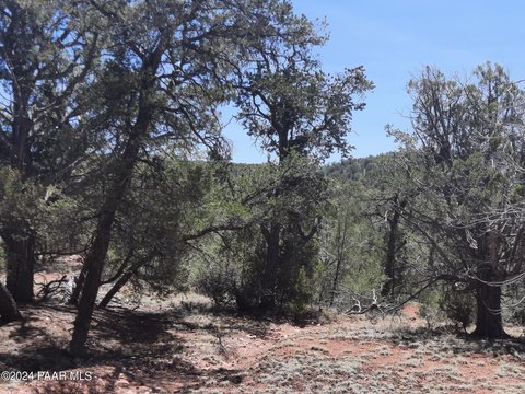 Remote Arizona Hunting Land