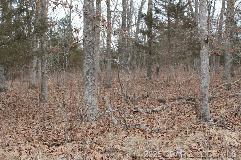 Edwards, MO 2.65-Acre Retreat