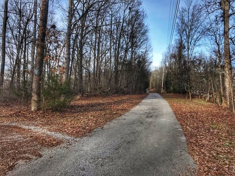 Scenic Wooded Acreage in Jasper, TN