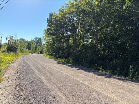 Wooded Land Parcel