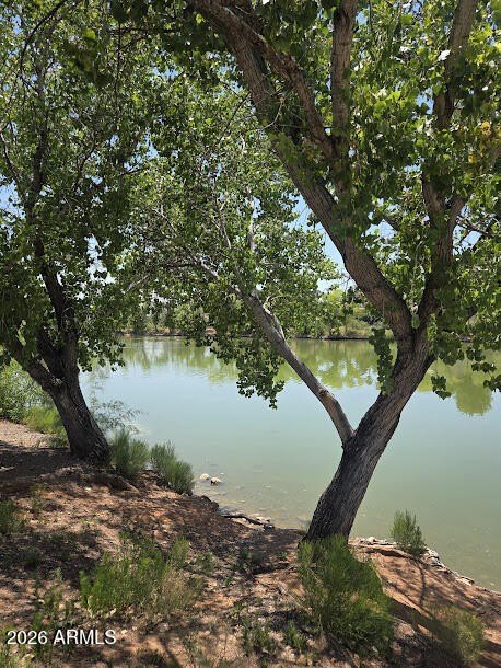 Picture 19