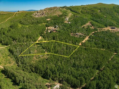 Midway Land with Aspen Glades