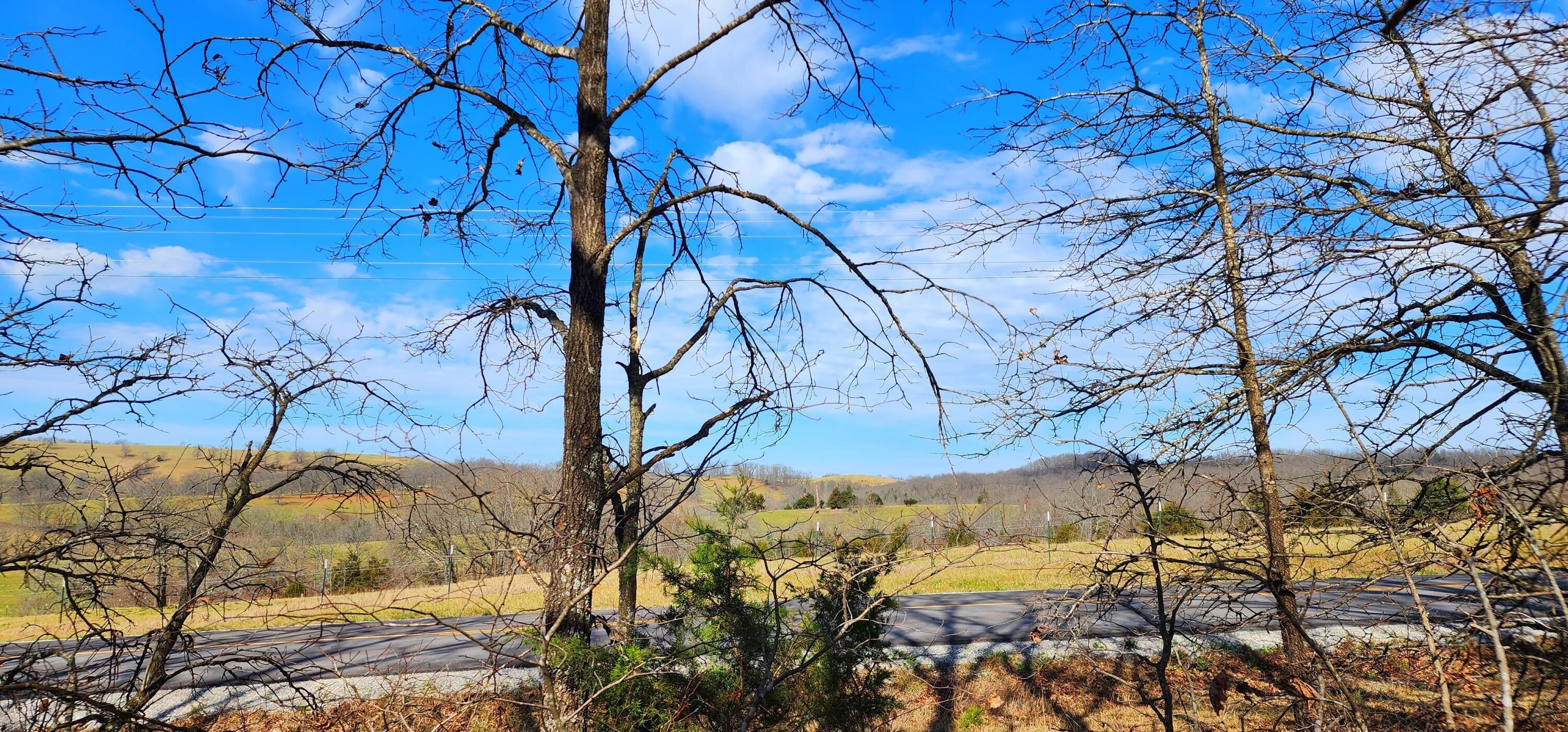 Ozark Mountain Wooded Acreage