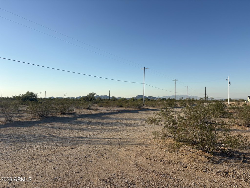 Picture 6