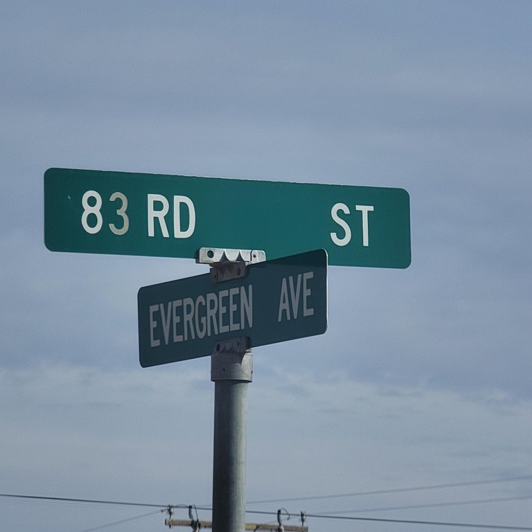 Picture 5