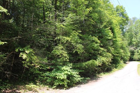 LAND - Epworth, GA