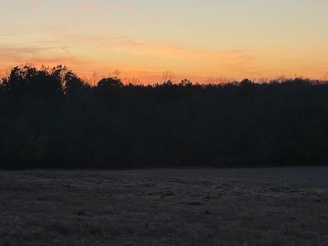 Picture 23