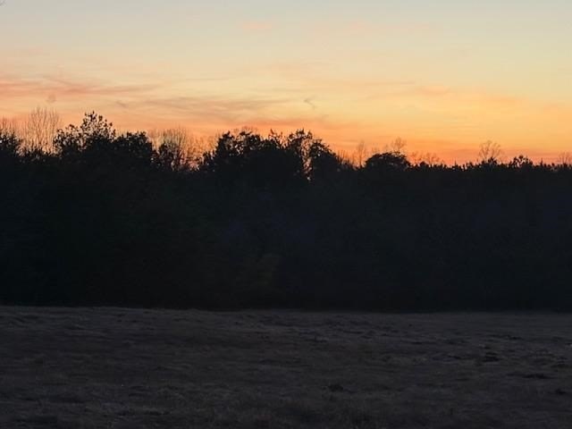 Picture 24