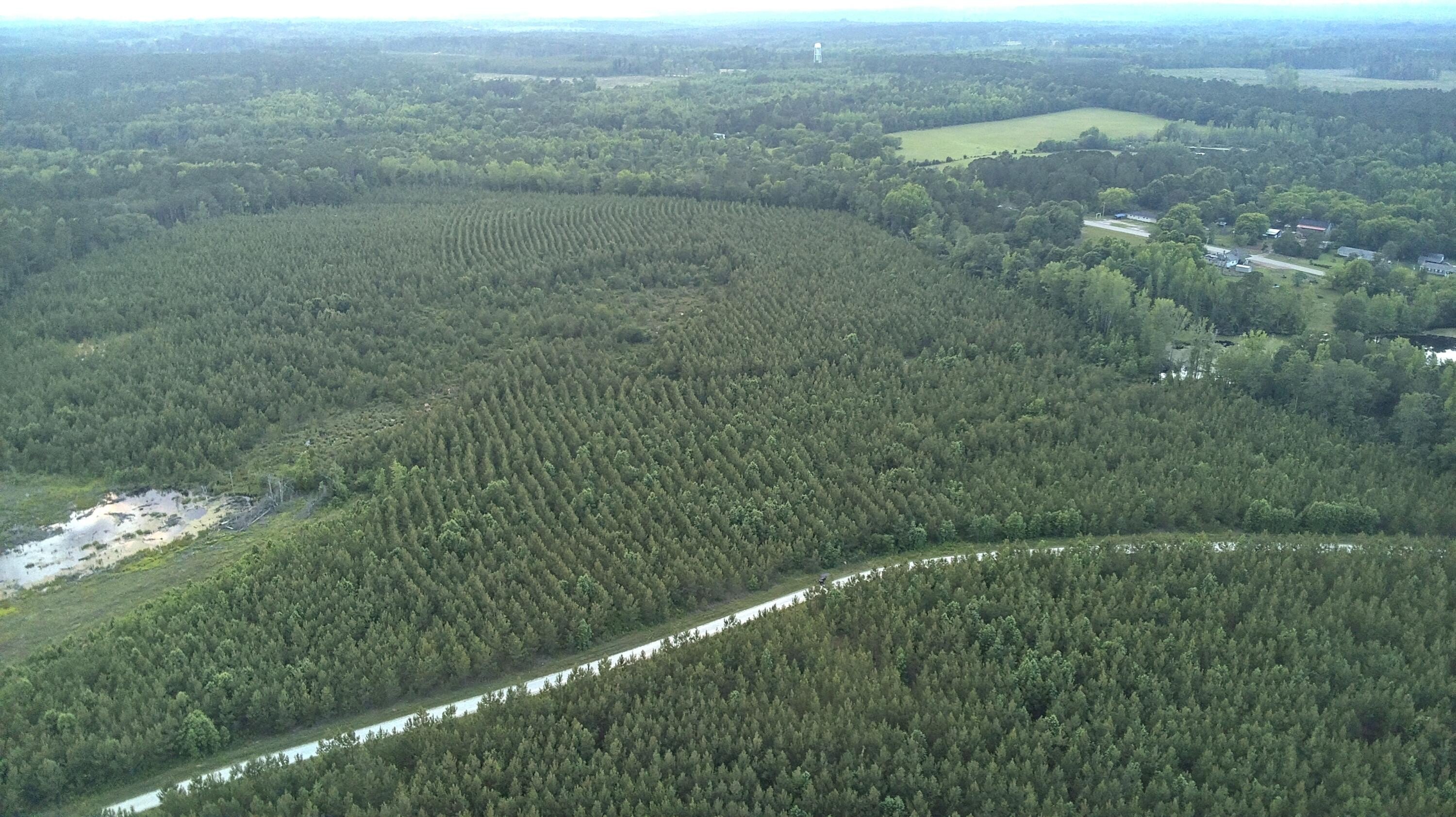 45 Acres in McCormick, SC