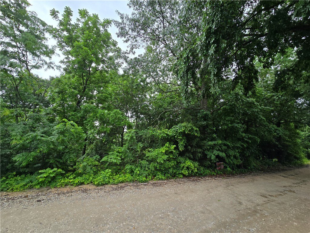 Picture 6